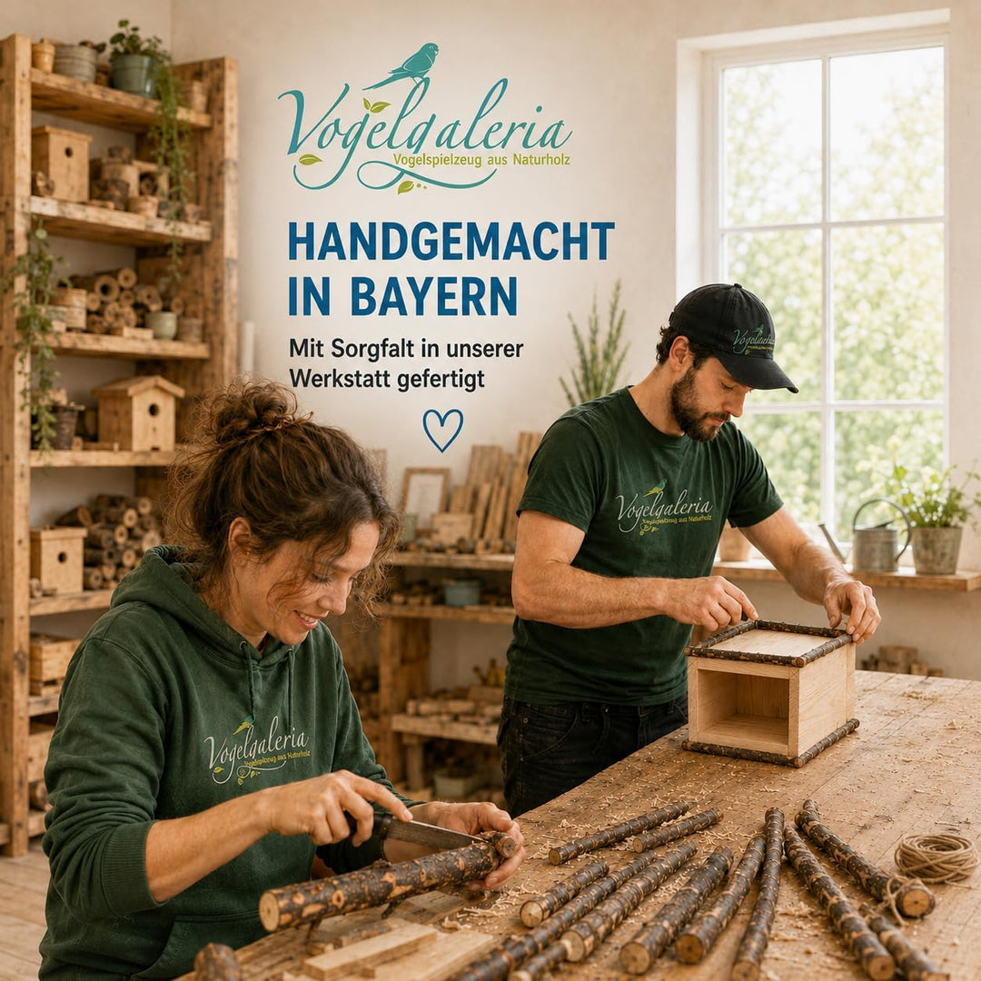 Vogelgaleria® 4 x Kork-Pickstein für Vögel. Die leckere Alternative zum Kalkstein oder Sepia-Schale,