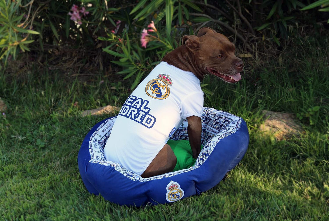 Real Madrid CF - Bett für Haustiere, Korbtyp, Grösse S, Polyester, Blau und Weiss, offizielles Produ
