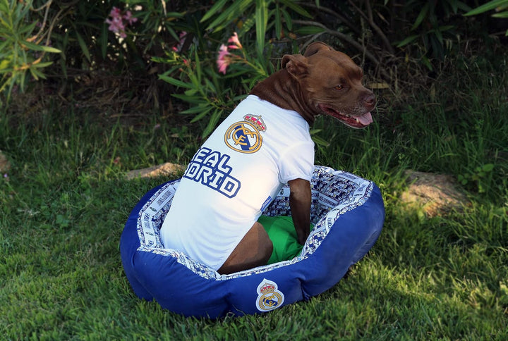 Real Madrid CF - Bett für Haustiere, Korbtyp, Grösse S, Polyester, Blau und Weiss, offizielles Produ