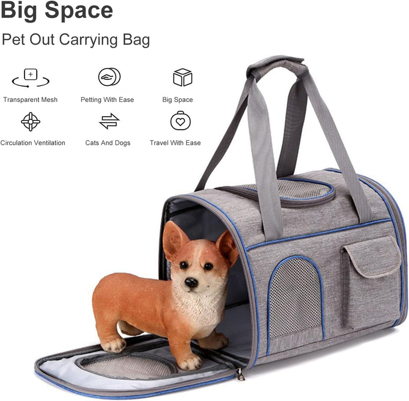 PETCUTE Transportbox für Hunde und Katzen,Katzenrucksack Hunderucksack,Atmungsaktiv Haustier Rucksac