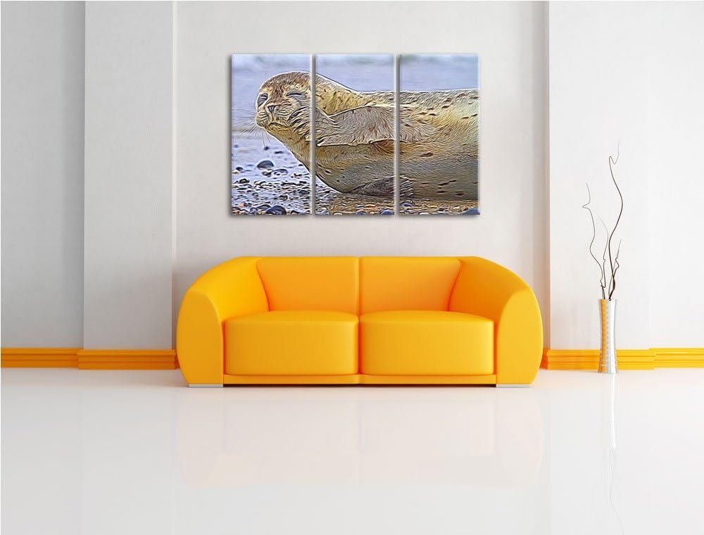 süsse Robbe beim Putzen NewArt 3-Teiler Leinwandbild 120x80 Bild auf Leinwand, XXL riesige Bilder fe