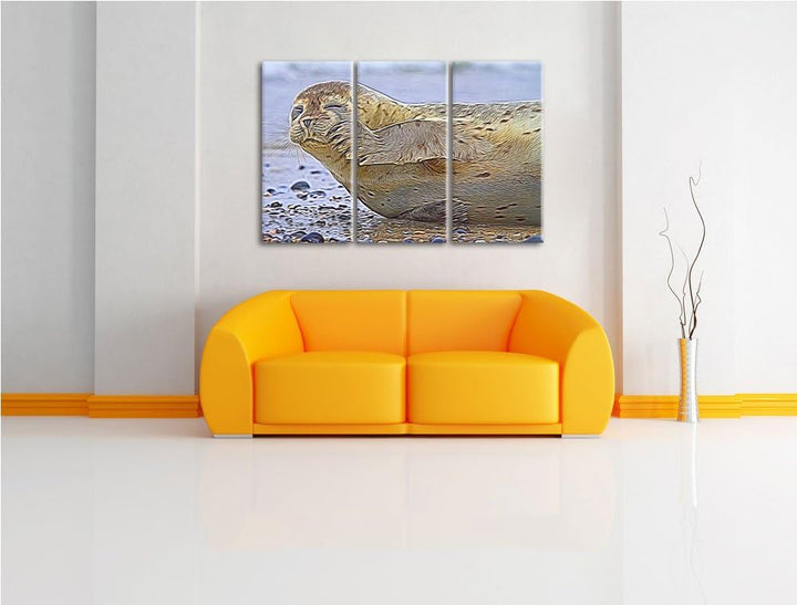 süsse Robbe beim Putzen NewArt 3-Teiler Leinwandbild 120x80 Bild auf Leinwand, XXL riesige Bilder fe