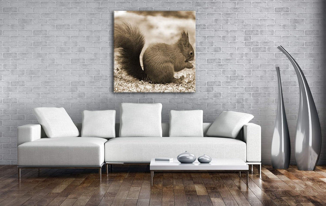 deyoli kleines Eichhörnischen Format: 70x70 Effekt: Sepia als Leinwandbild, Motiv fertig gerahmt auf
