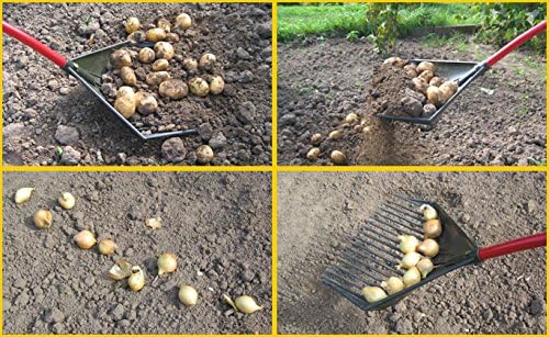 Golden Gark, (3-in-1 Harke, Rechen, Schaufel, Laubbesen, Multifunktionales & Ergonomic Gartengerät