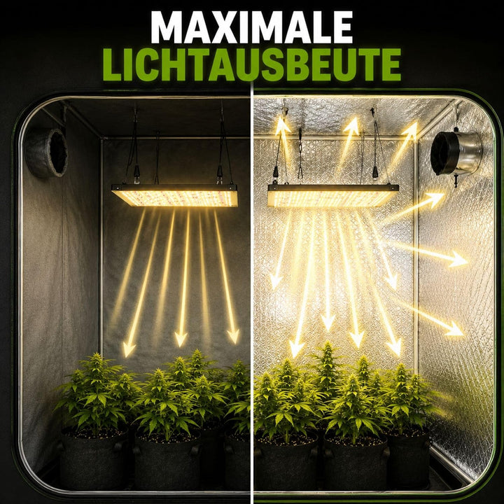 Weedness Mini Grow-Box 50x35x50 cm für Indoor-Zucht, Zuchtzelt, Growschrank, Growzelt, Zuchtbox, Gew