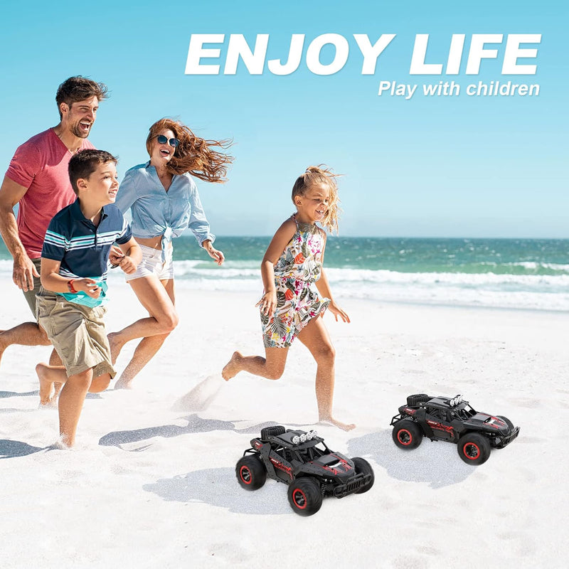 Ferngesteuertes Auto Offroad für Junge draussen mit 2-Akku 70 Minuten 1:16 Massstab RC Buggy 25KM/H