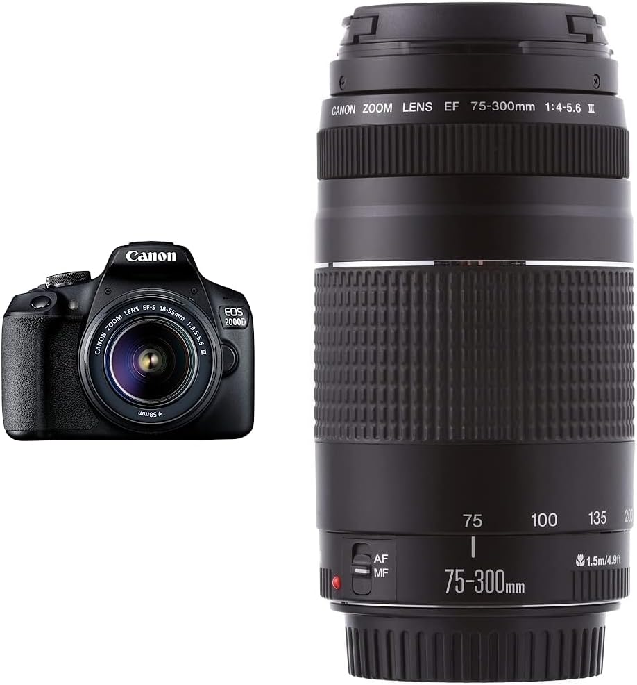 Canon EOS 2000D Spiegelreflexkamera - mit Objektiv EF-S 18-55 F3.5-5.6 III, schwarz & EF 75-300mm F4
