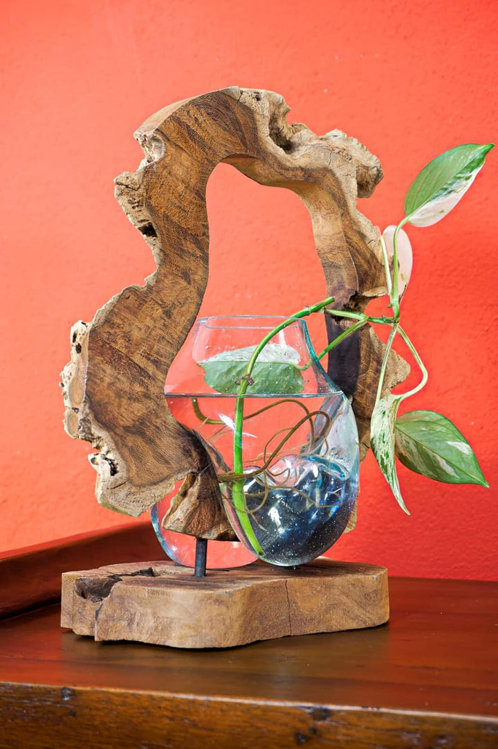 Kinaree Geschmolzenes Glas auf Wurzelholz - Glasschale auf Wurzel - Teak Holz mit Glasvase oder Scha