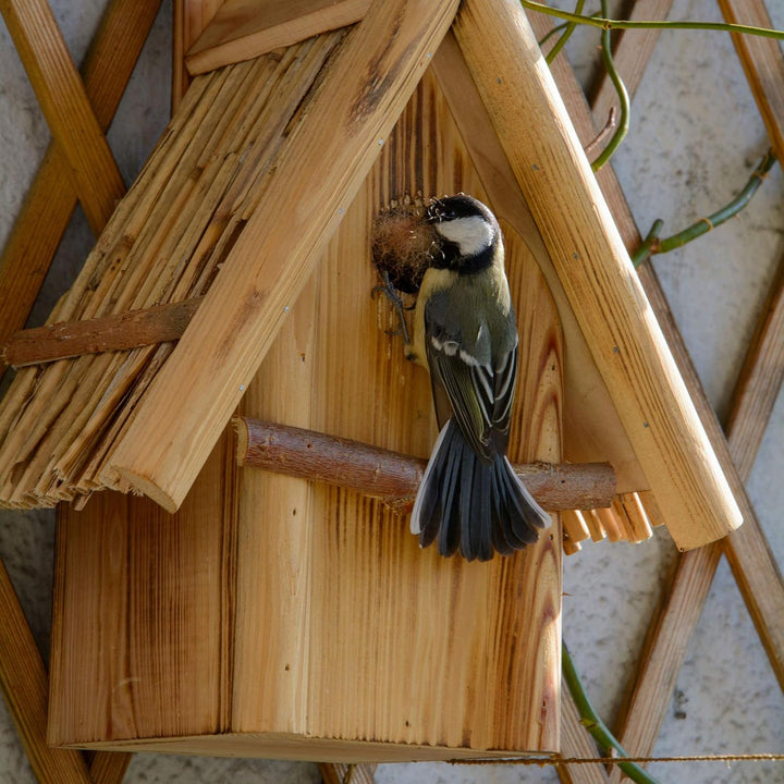 dobar® 13070e Nistkasten Hexenhaus Ø 32 mm - Nisthöhle für Wildvögel - Nistkasten Massivholz - Nisth