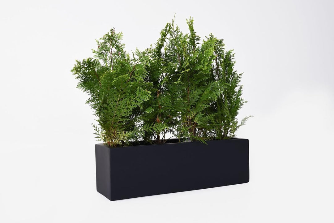 VIVANNO Blumenkasten Balkonkasten Pflanzkasten Fiberglas FLOBO anthrazit - 15x60x17 cm 15x60x17 Anth