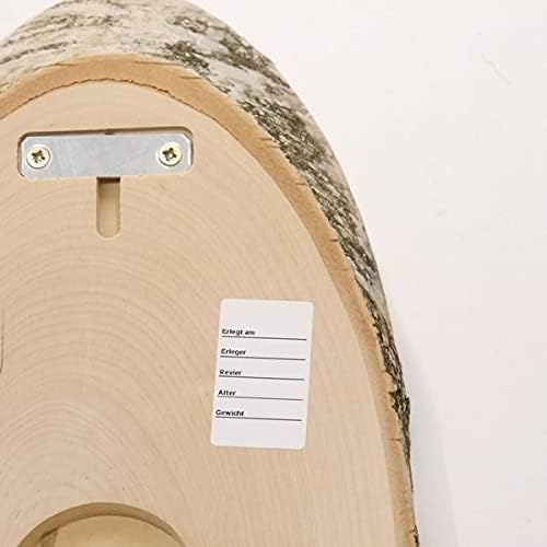 GTK - Geweihe & Trophäen KRUMHOLZ Birke Rothirsch AF 38 cm Hirsch Schild Trophäenschild Geweih Baums