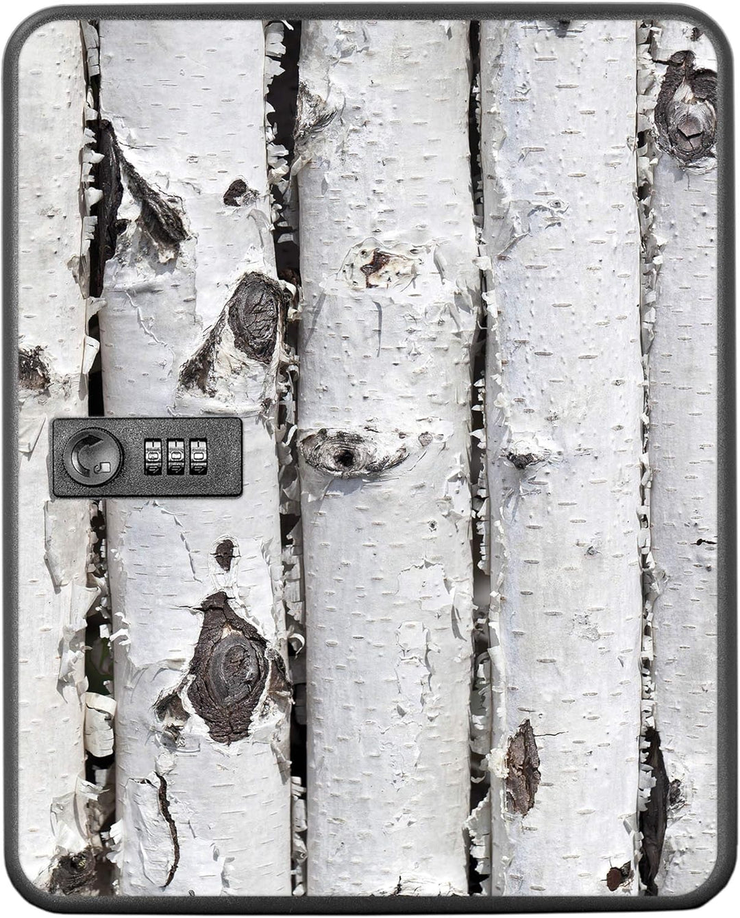 banjado® Burg-Wächter® abschliessbarer Schlüsselkasten mit Motiv Birkenrinde für 36 Schlüssel - Schl