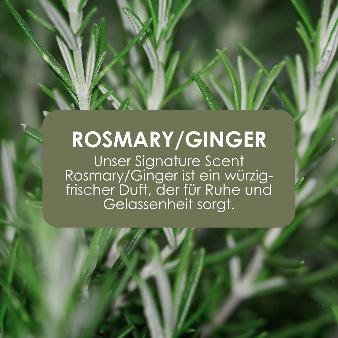Jean &amp; Len Hand &amp; Body Wash Rosemary und Ginger, mit reinigt pflegt die Haut, ohne Parabene, Silikon