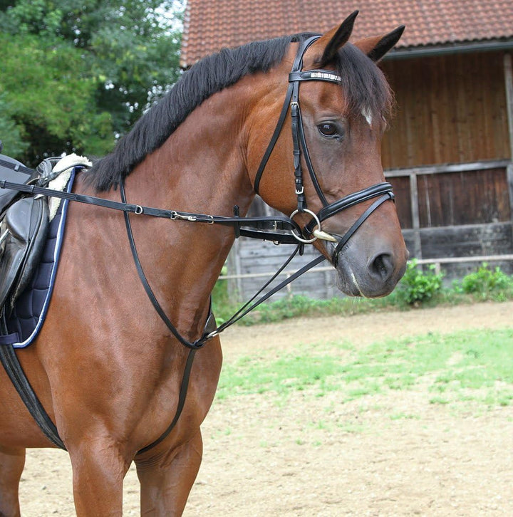 Kerbl Thiedemannzügel Pony, Pony