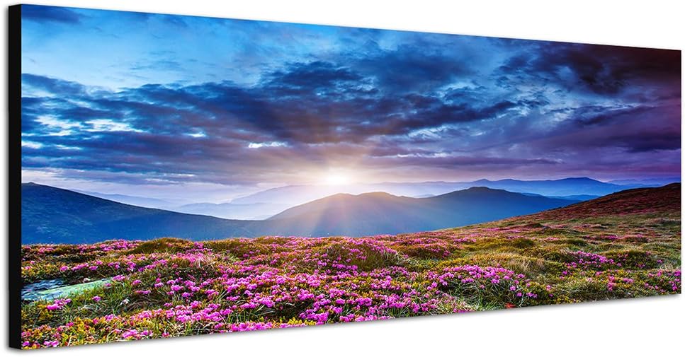 Paul Sinus Art Panoramabild auf Leinwand und Keilrahmen 150x50cm Ukraine Blumenwiesen Berge Wolkenhi