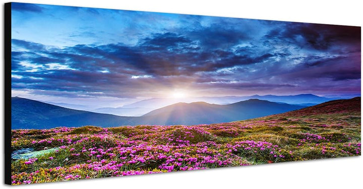 Paul Sinus Art Panoramabild auf Leinwand und Keilrahmen 150x50cm Ukraine Blumenwiesen Berge Wolkenhi