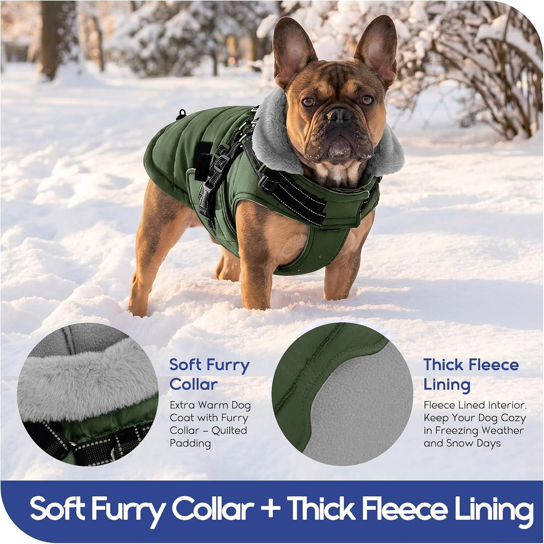 ASENKU Hundemantel für Kleine Hunde mit Geschirr, Warme Fleece Hundemantel Winter Wasserdicht Mit Br