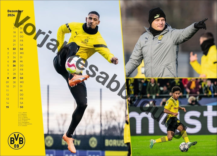 BVB Edition Kalender 2025: Grosser Wandkalender. Einzigartiger Fotokalender mit allen Stars von Boru