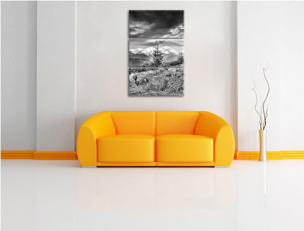 Pixxprint Monocrome, Krokusse auf Hochalmwiese in Alpen 3-Teiler Leinwandbild 120x80 Bild auf Leinwa