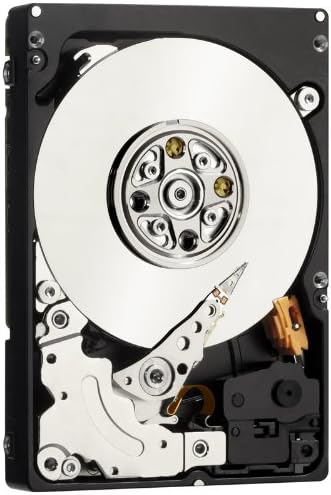 Western Digital WD9001BKHG XE 900GB interne Festplatte (6,4 cm (2,5 Zoll), SAS mit 6 Gb/s)