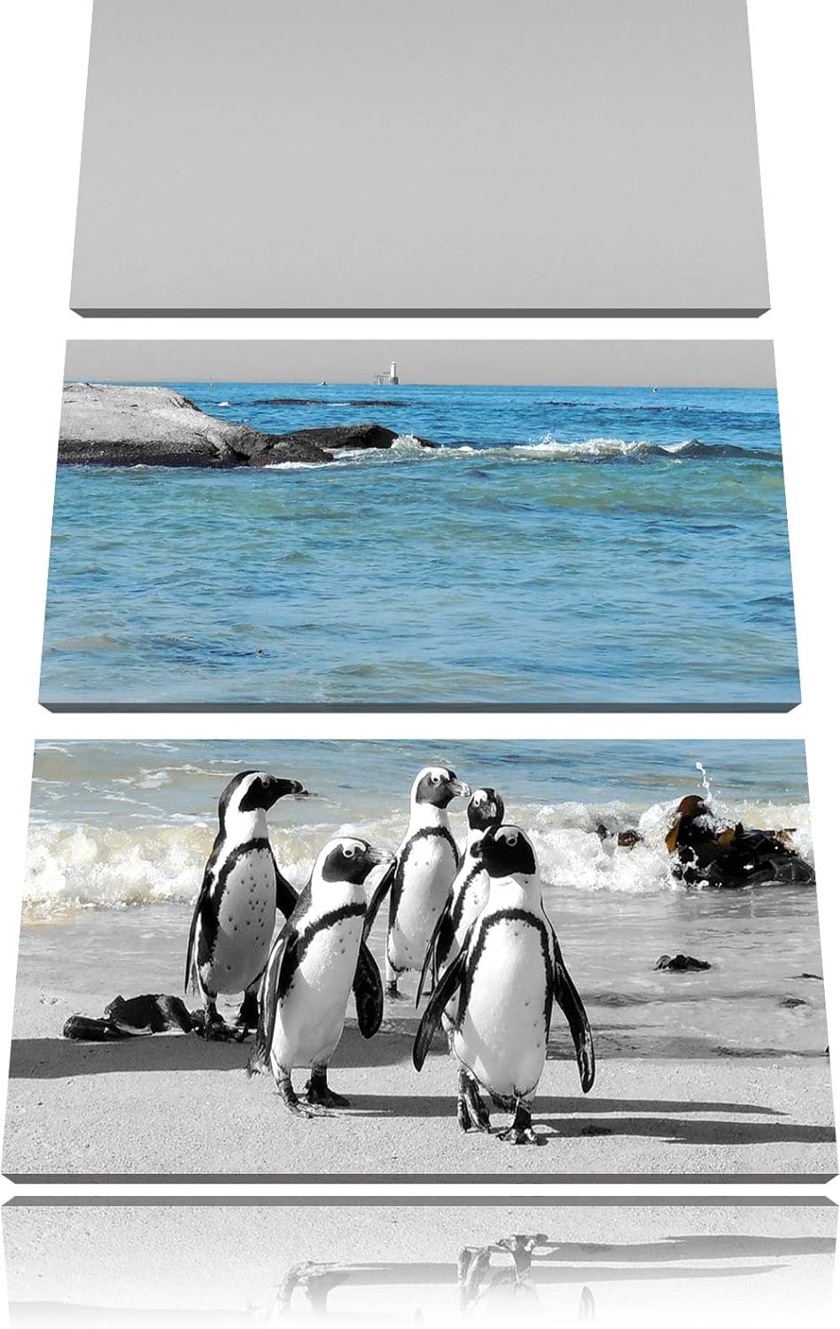 lustige Pinguine am Strand schwarz/weiss 3-Teiler Leinwandbild 120x80 Bild auf Leinwand