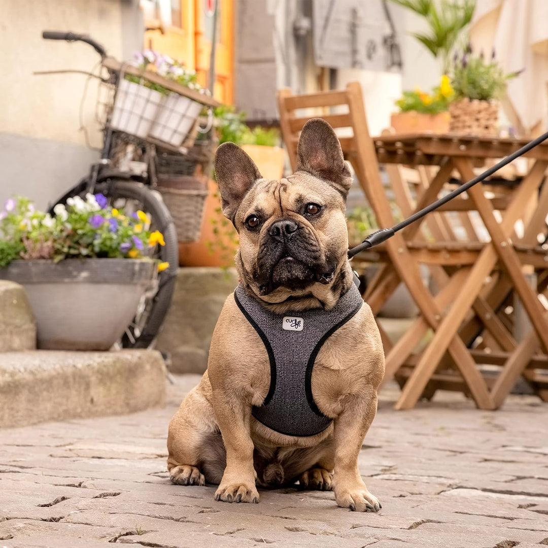 Vest Harness Merino curli Clasp Black M M Schwarz, M Schwarz