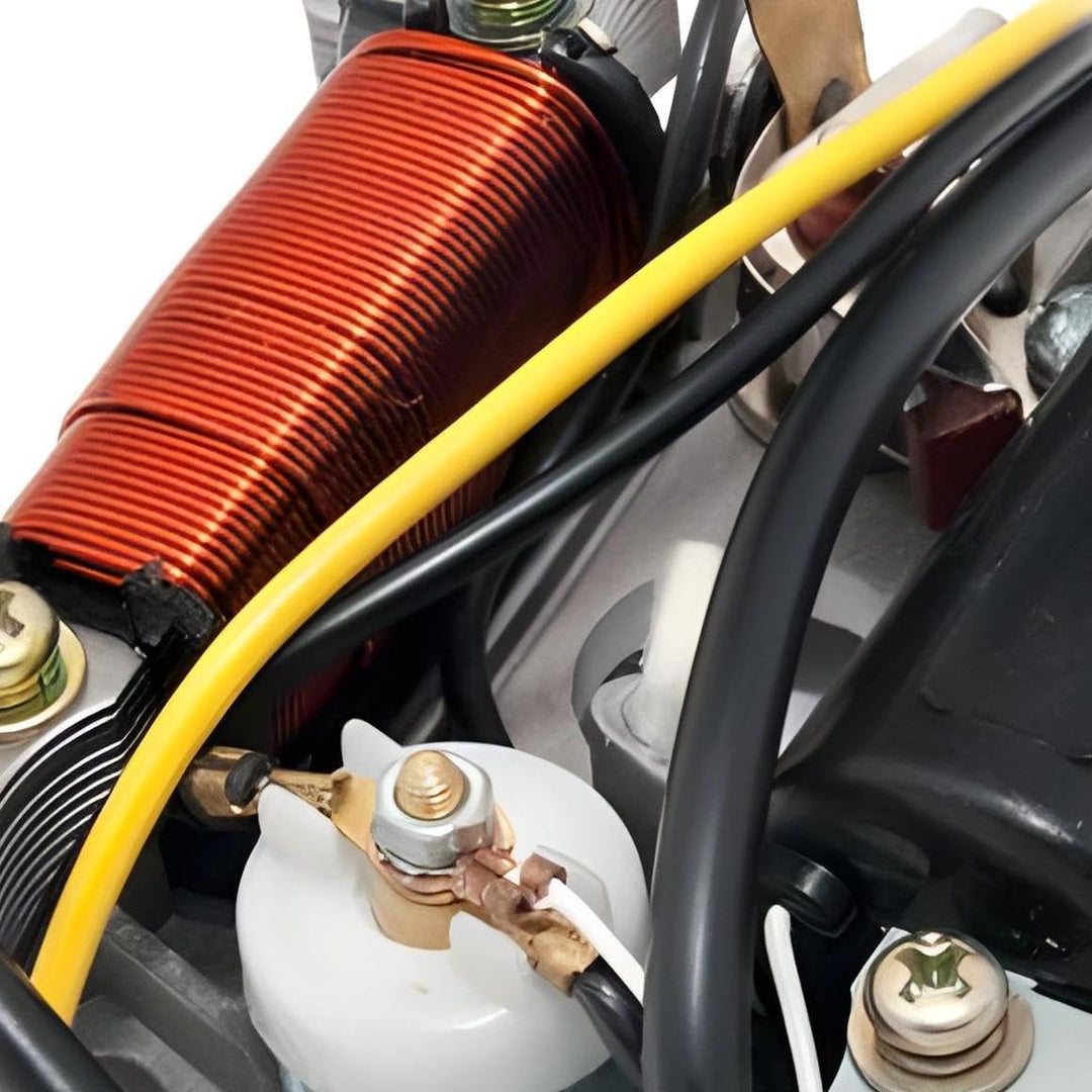 Lichtmaschine / Zündung 6V 15W für Maxi Mofa