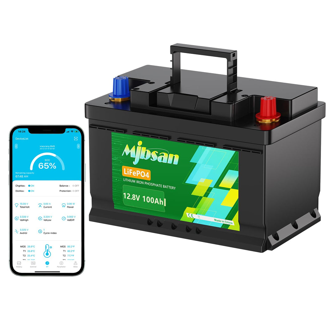Mjbsan 12V 100Ah Mini LiFePO4 Lithium Batterie mit Kleiner Grösse und geringem Gewicht, Eingebaute 1