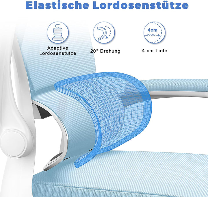 naspaluro Ergonomischer Bürostuhl: Schreibtischstuhl mit C-förmiger Lordosenstütze,Verstellbarer Kop