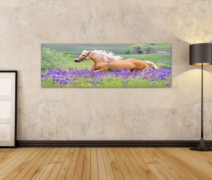 islandburner Bild auf Leinwand Palomino Pferd Kinderzimmer Hobby Reiten Bilder Wandbilder Poster Lei