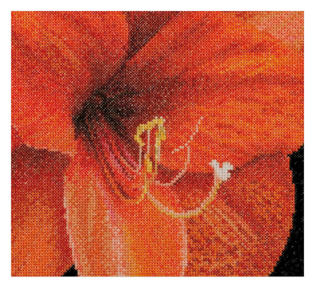 Thea Gouverneur - Kreuzstich-Set - Amaryllis Aida - Aida - 18 Count - Für Erwachsene - 496A 496A Whi