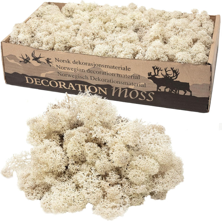 Karton Islandmoos Natur - 500g