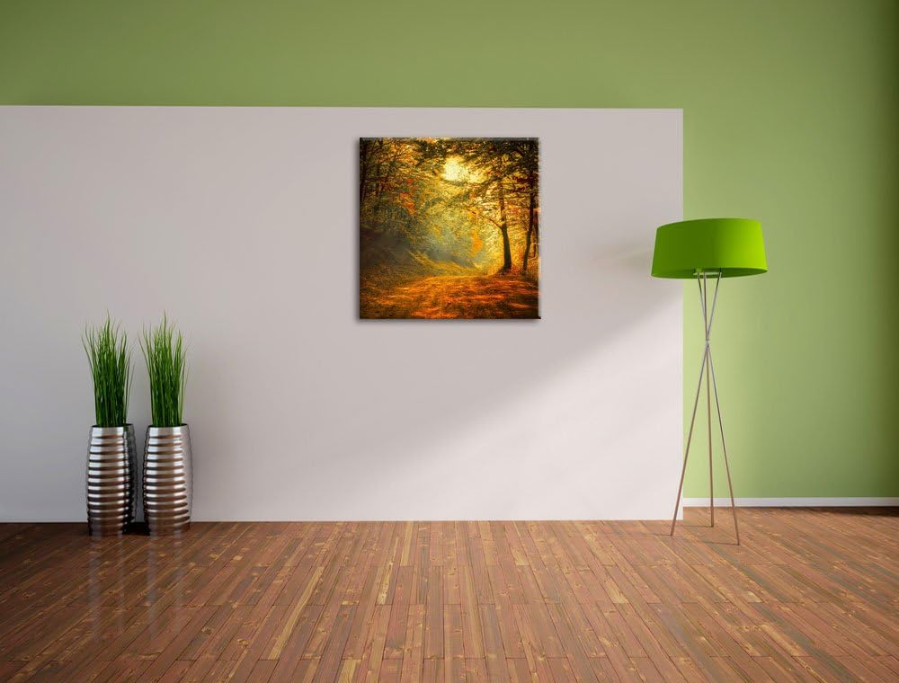 Pixxprint Wald, Format: 70x70 auf Leinwand, XXL riesige Bilder fertig gerahmt mit Keilrahmen, Kunstd