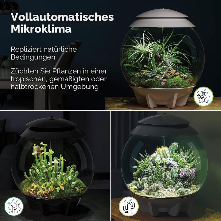 biOrb AIR 30 schwarz - Terrarium mit LED-Beleuchtung / Acryl-Becken zur Pflanzenpflege / für empfind