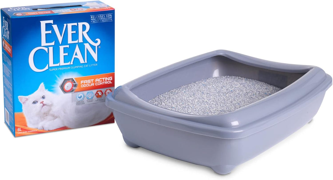 Ever CLEAN Fast Acting 6 LT