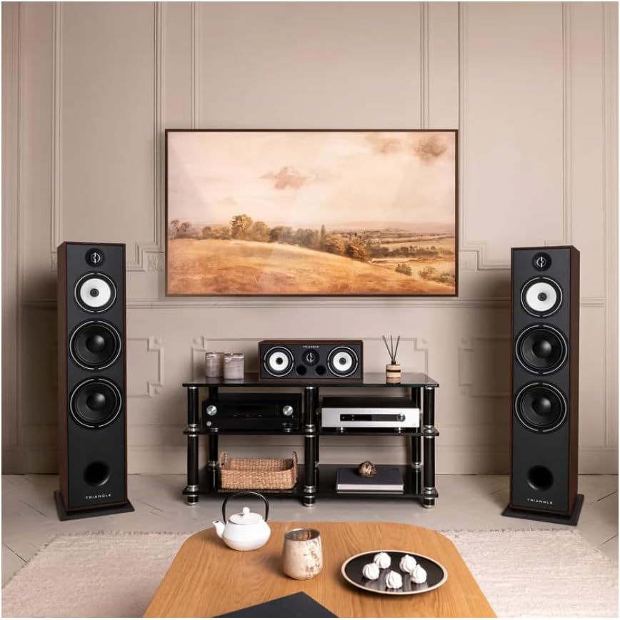 TRIANGLE - BOREA BR10 Hi-Fi Standlautsprecher - Belastbarkeit 200W - Leistung 92 dB/W/m - 21 cm Laut