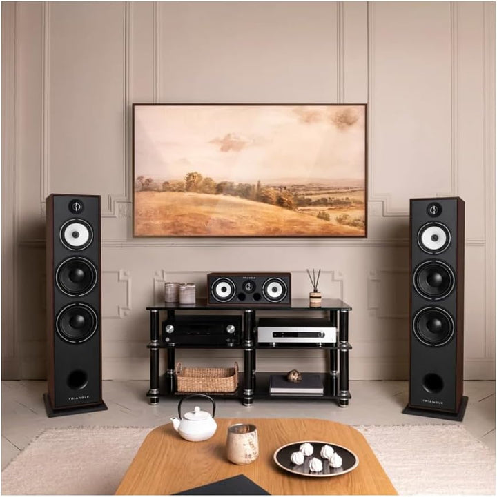 TRIANGLE - BOREA BR10 Hi-Fi Standlautsprecher - Belastbarkeit 200W - Leistung 92 dB/W/m - 21 cm Laut