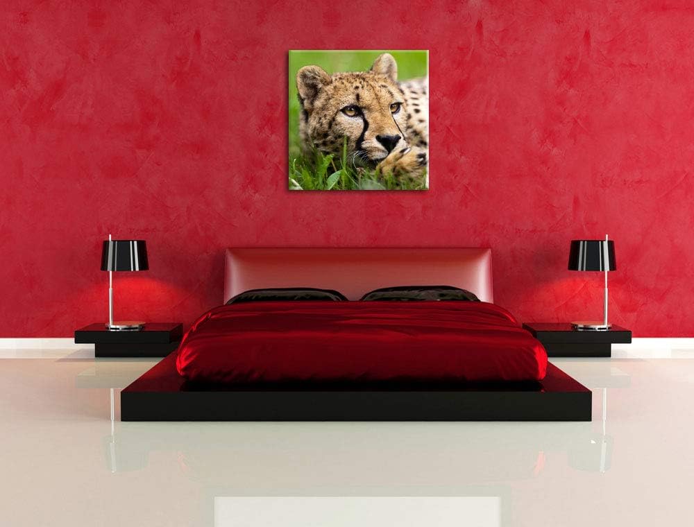 Pixxprint Gepard im Gras, Format: 70x70 auf Leinwand, XXL riesige Bilder fertig gerahmt mit Keilrahm