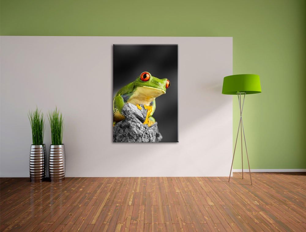 schöner Rotaugen Frosch schwarz/weiss Format: 100x70 auf Leinwand, XXL riesige Bilder fertig gerahmt