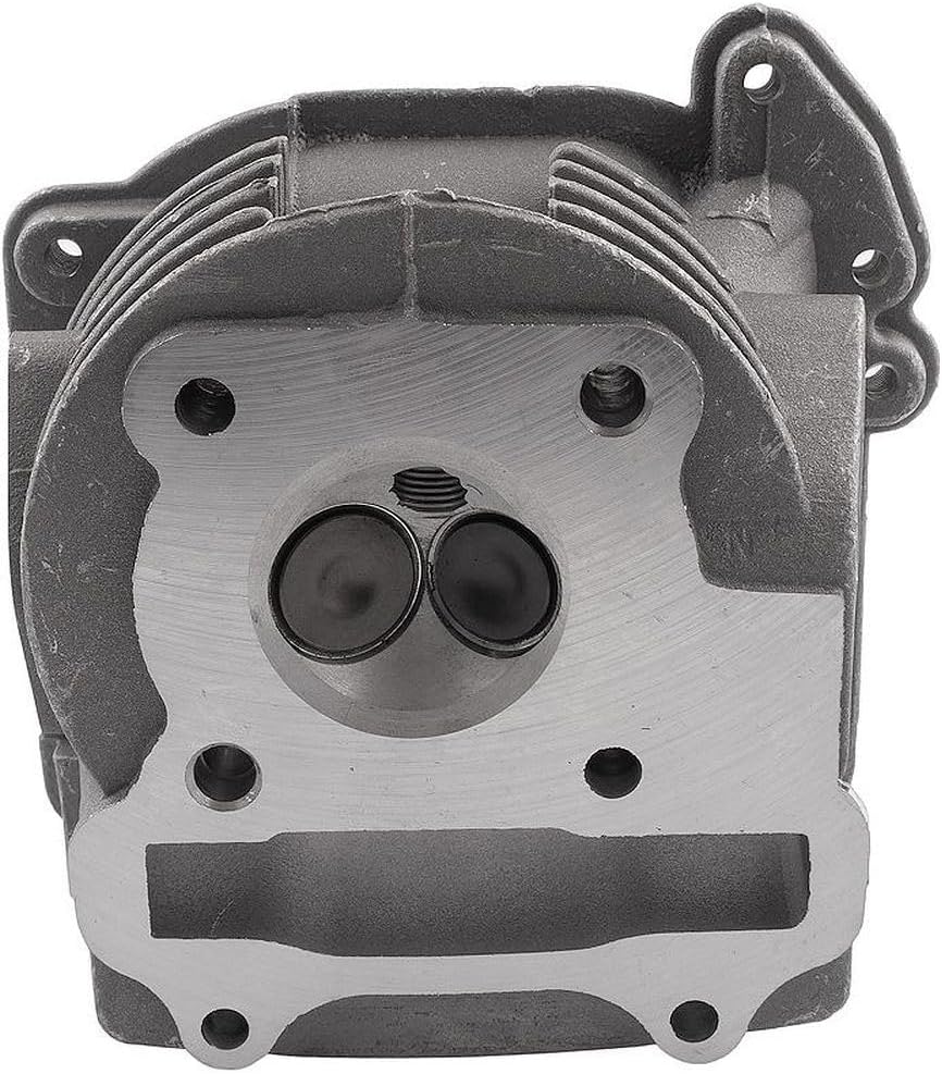 Zylinderkopf mit SLS inkl. Ventilen 139QMB / QMA - AGM-GMX 450 [QM50QT-6A]