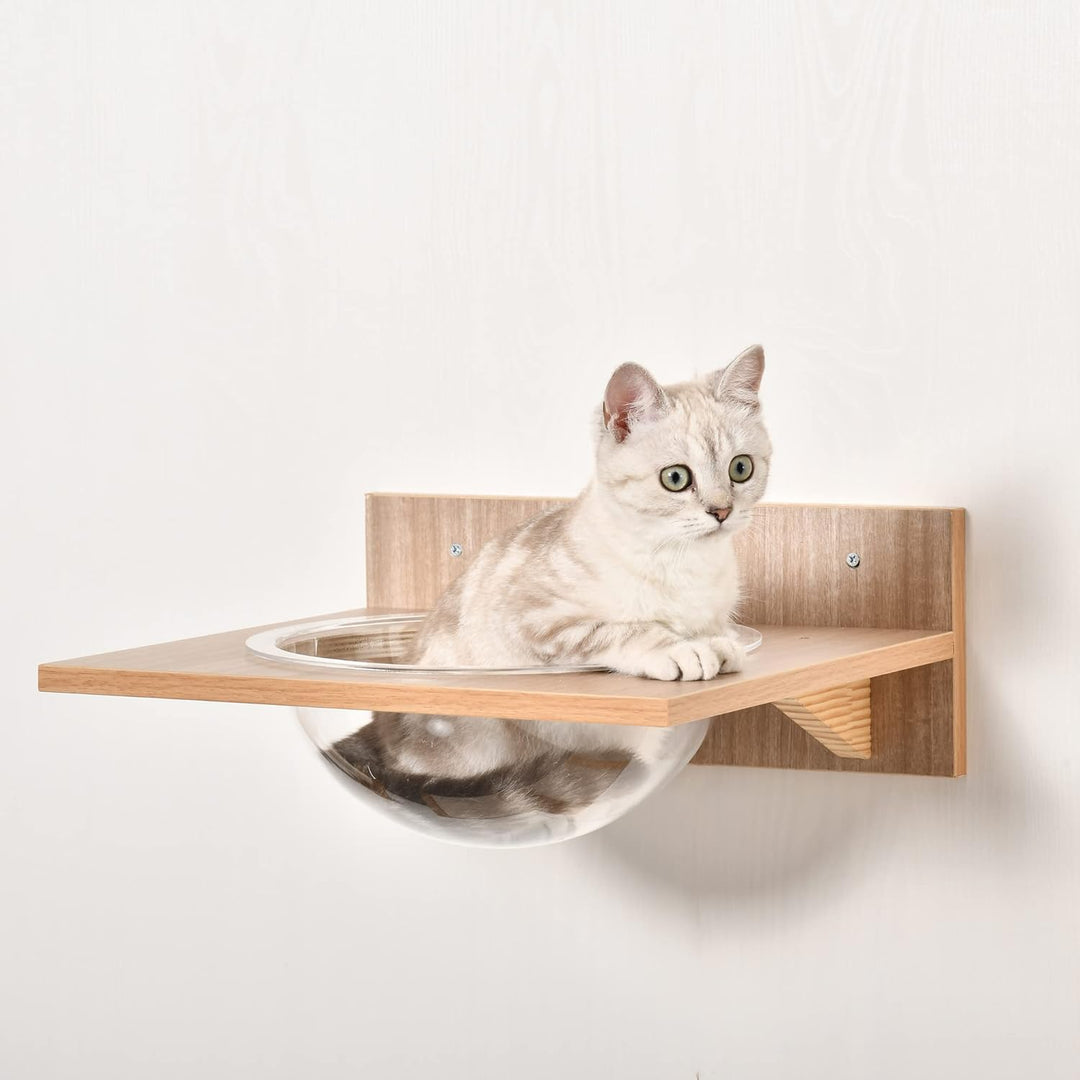 PawHut Kletterwand Katzen, 4-teilig Katzenkletterwand Set Katzen Wandelemente mit Kratzbaum Hängemat