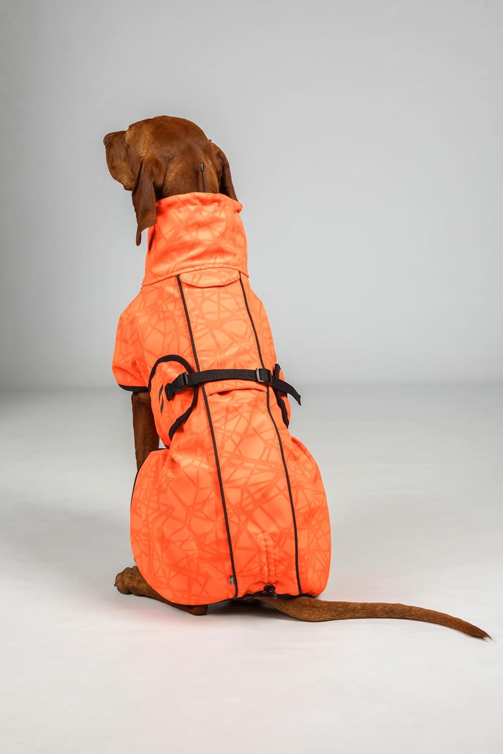 Back on Track Bark Allround Hundemantel orange (65 cm), 65 cm