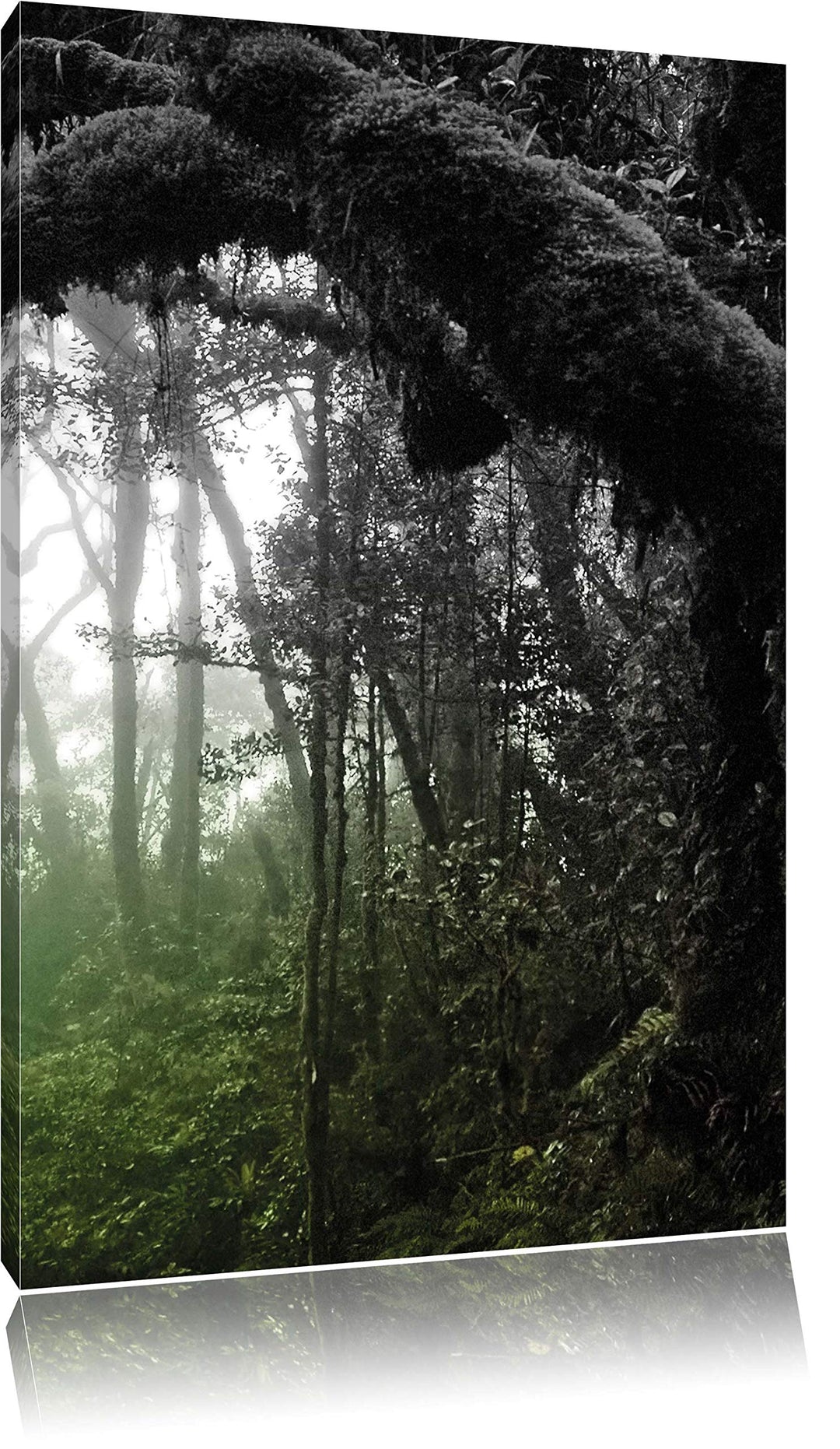 Pixxprint Regenwald in Seiner ganzen Pracht, Format: 70x100 auf hochkantiges Leinwand, XXL riesige B