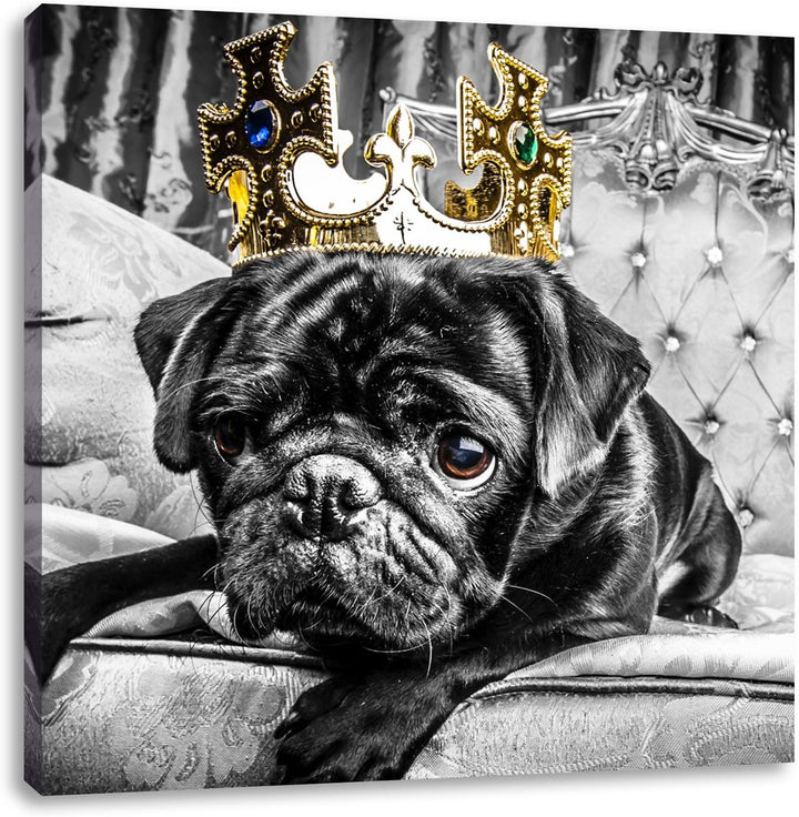 Pixxprint Mops mit Krone auf Thron als Leinwandbild/Grösse: 70x70 cm/Wandbild/Kunstdruck/fertig besp