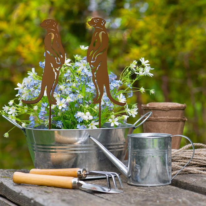 KRONLY 2 Stück Erdmännchen 32cm Gartenstecker - Roststecker Metall wetterfest Gartendeko Outdoor