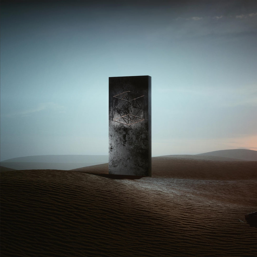 Portals (Gatefold Black Vinyl) [Vinyl LP], Vinyl