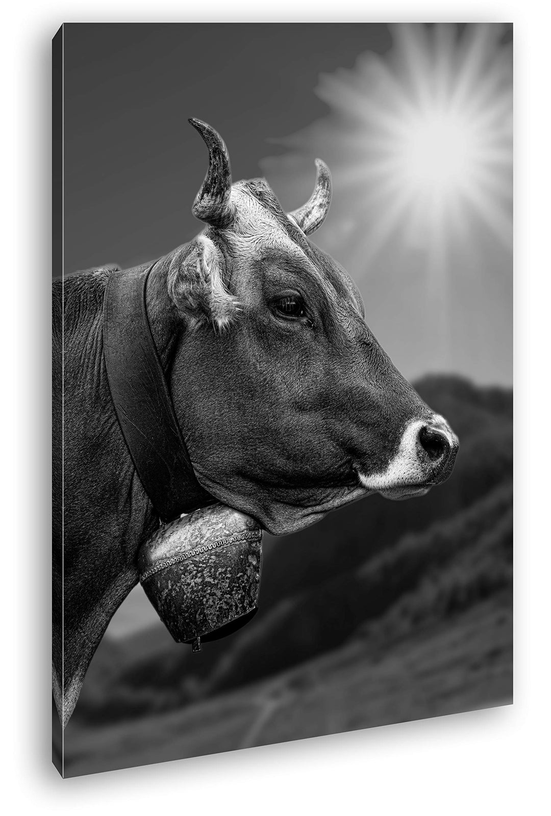 deyoli edle Alpen Kuh Format: 60x40 Effekt: Schwarz&Weiss als Leinwandbild, Motiv fertig gerahmt auf