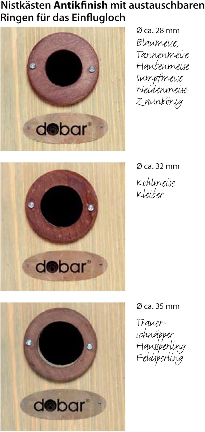 dobar® 22419e Nistkasten Einblick - Nisthöhle für Wildvögel - Höhlenbrüter-Nistkasten Massivholz - P