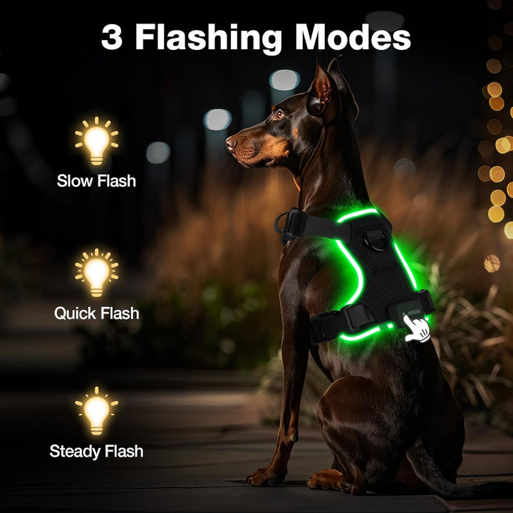 Feycig Hundegeschirr Leuchtend für Grosse Hunde - LED Hundegeschirr Aufladbar Einstellbar Reflektier