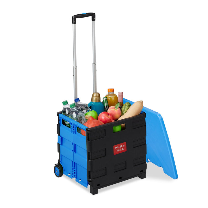 Relaxdays Einkaufstrolley, Klapptrolley mit Rollen & Deckel, Teleskopgriff, bis 35 kg, Faltbarer Tro